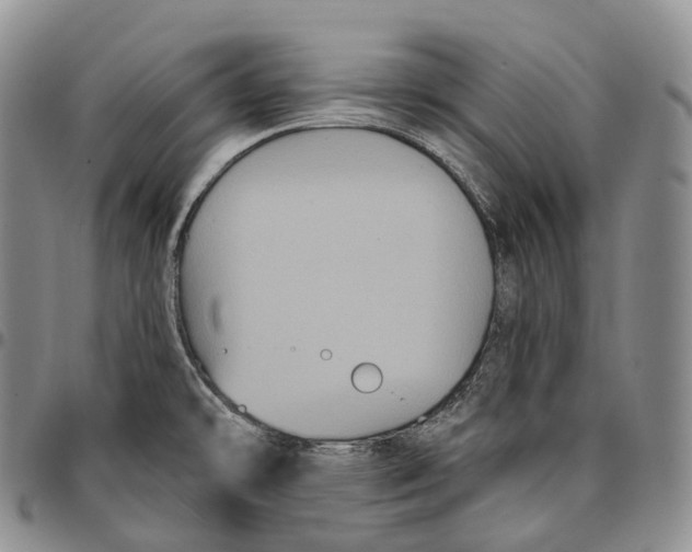 X0000096721478200803041351