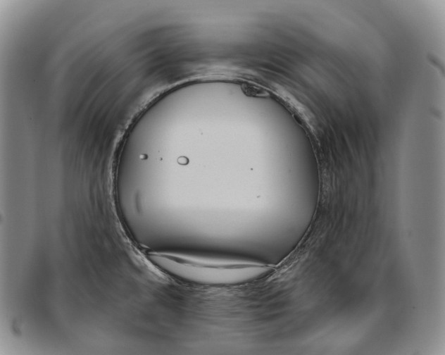 X0000096721480200803041351