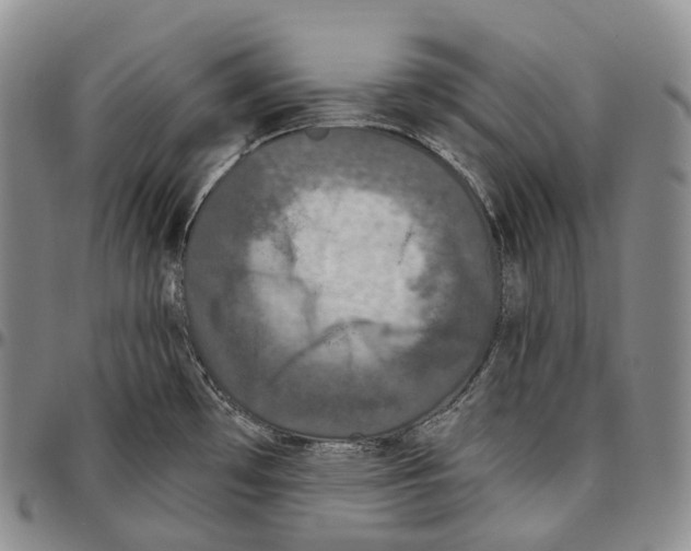 X0000096721481200803041351