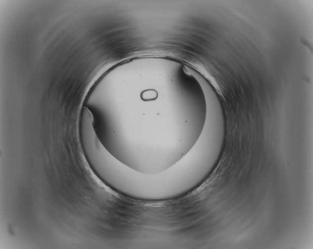 X0000096721484200803041351