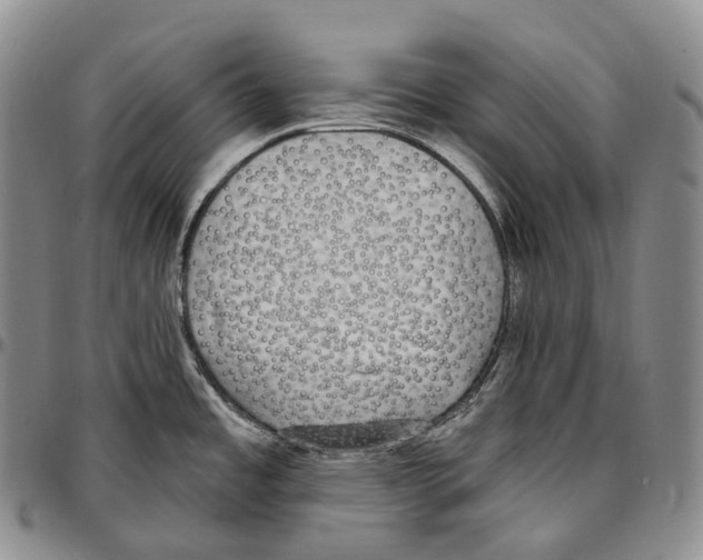 X0000096721485200803041351