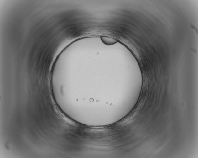 X0000096721486200803041351