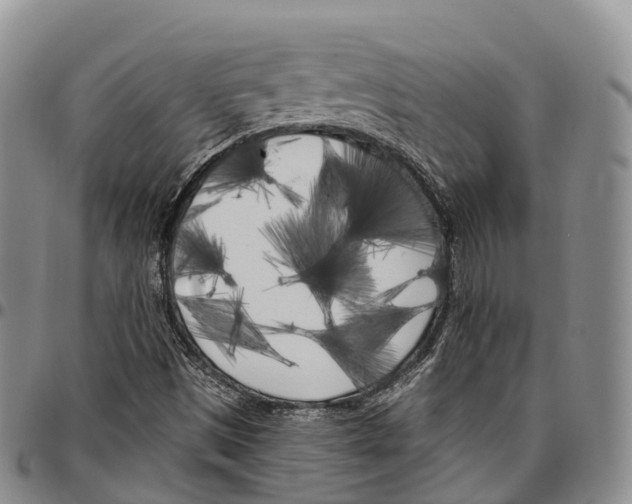 X0000096721497200803041351