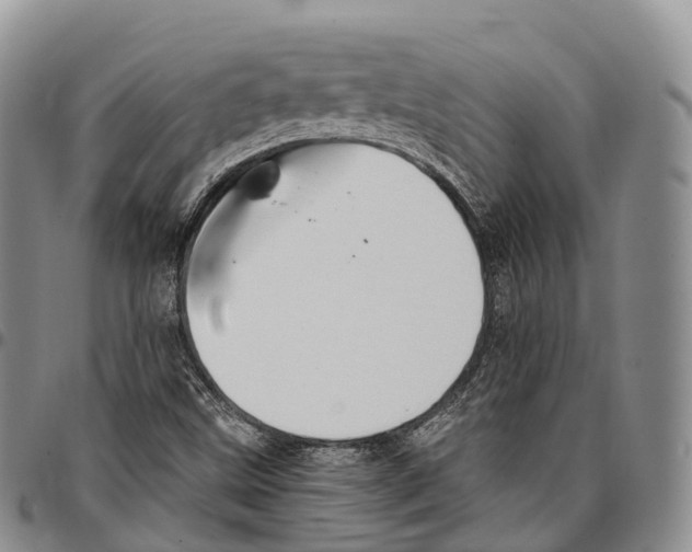 X0000096721499200803041351