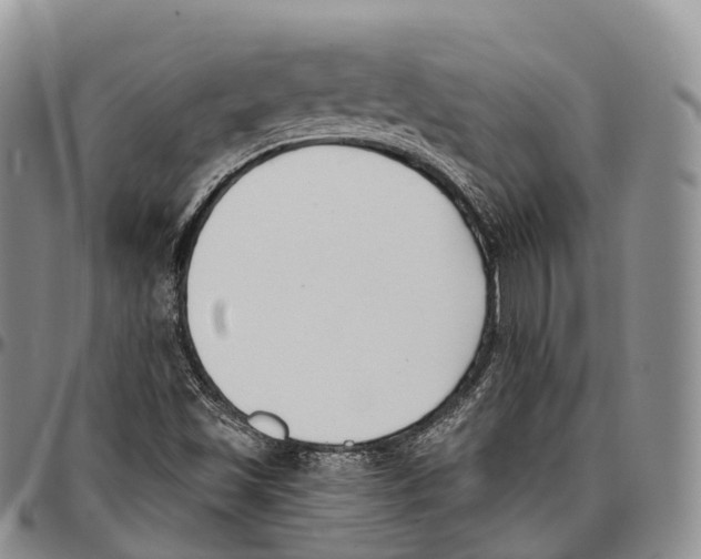 X0000096721501200803041351