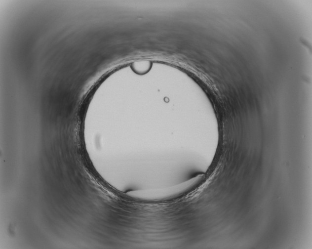 X0000096721502200803041351