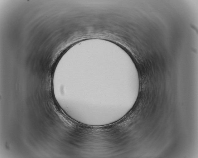 X0000096721507200803041351