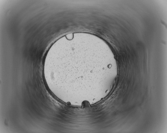 X0000096721508200803041351