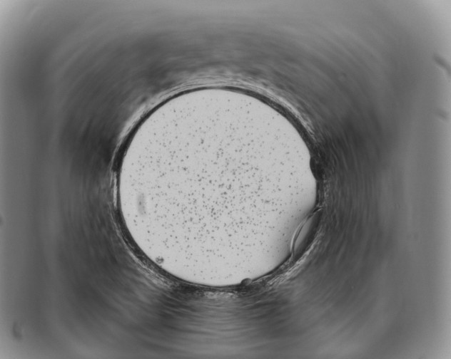 X0000096721509200803041351