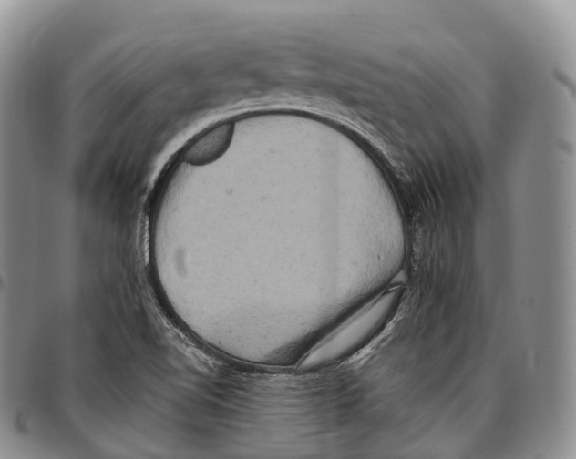 X0000096721510200803041351