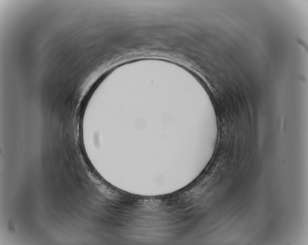 X0000096721511200803041351