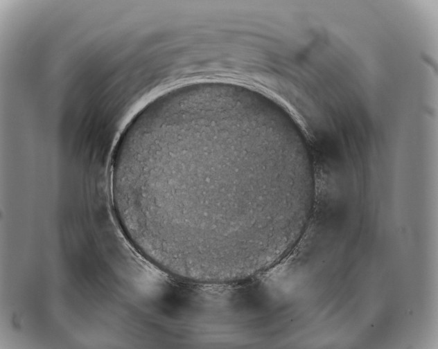 X0000096721514200803041351