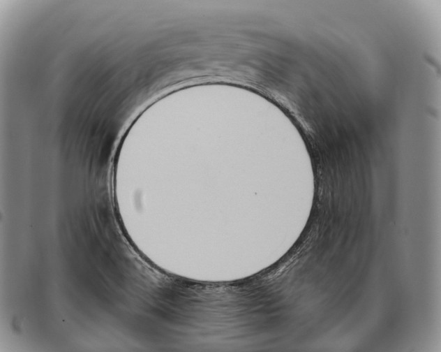 X0000096721516200803041351