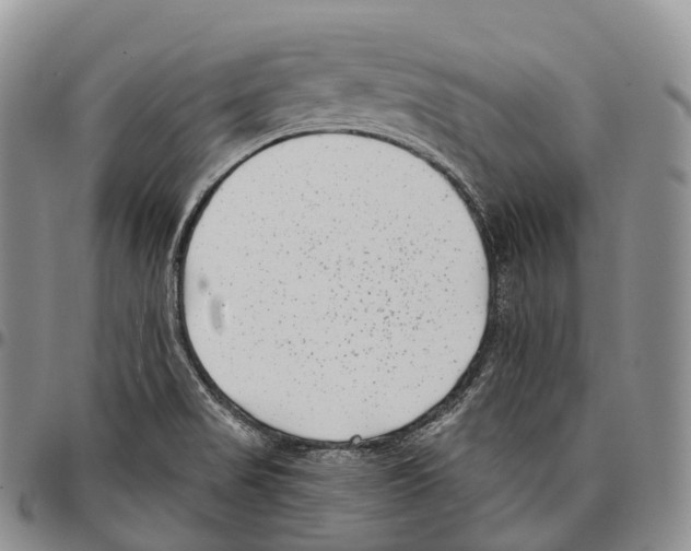 X0000096721517200803041351