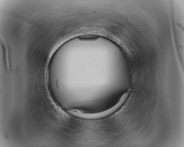 X0000096721520200803041351