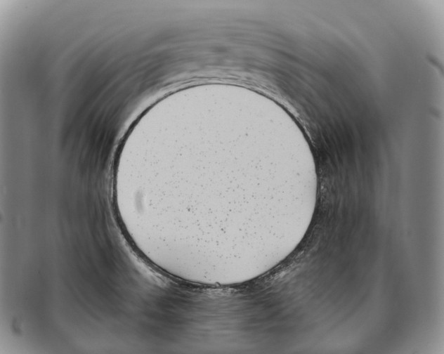 X0000096721523200803041351