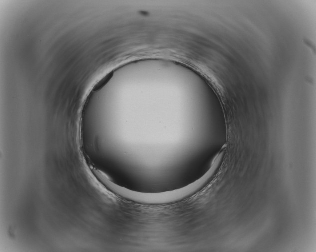 X0000096721528200803041351