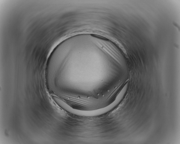 X0000096721530200803041351