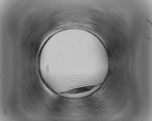 X0000096721531200803041351