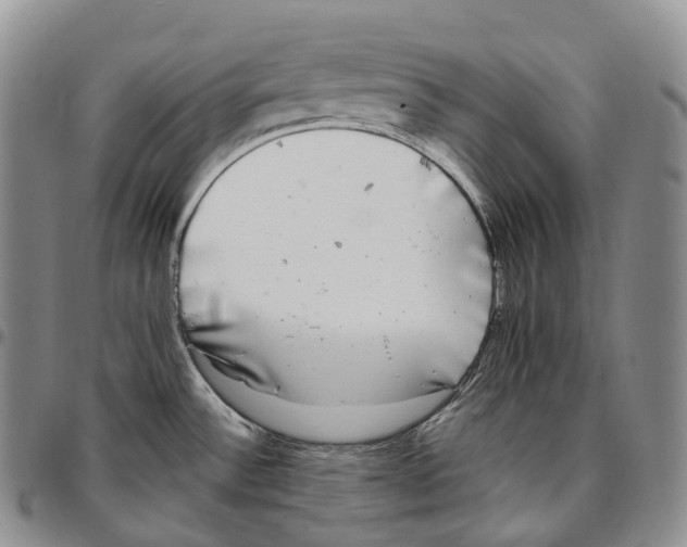 X0000096721532200803041351