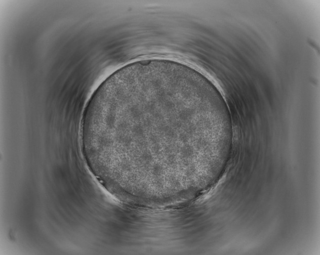 X0000096721533200803041351