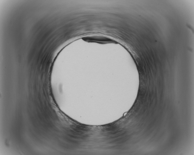 X0000096721534200803041351