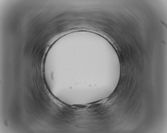 X0000096721535200803041351