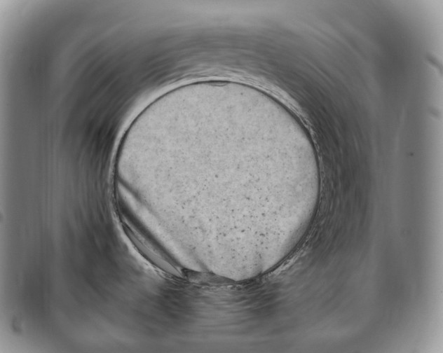 X0000096721536200803041351