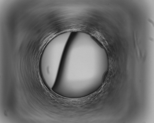 X0000096730001200802051140