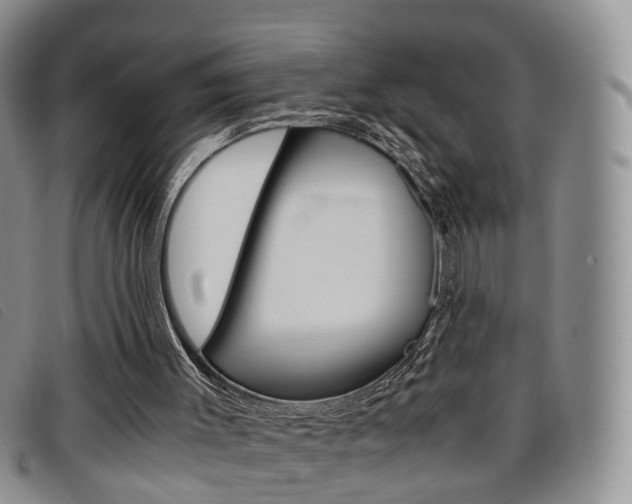 X0000096730003200802051139