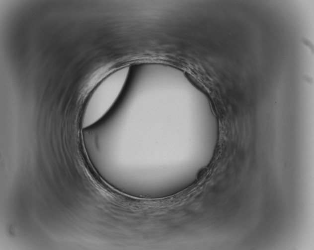 X0000096730005200802051139