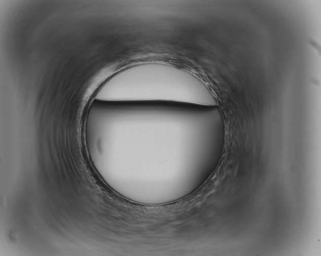 X0000096730006200802051139