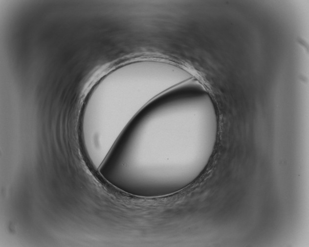 X0000096730007200802051139