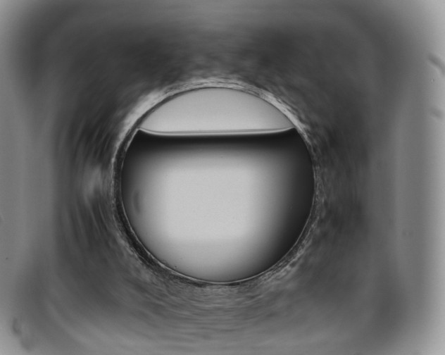 X0000096730008200802051139