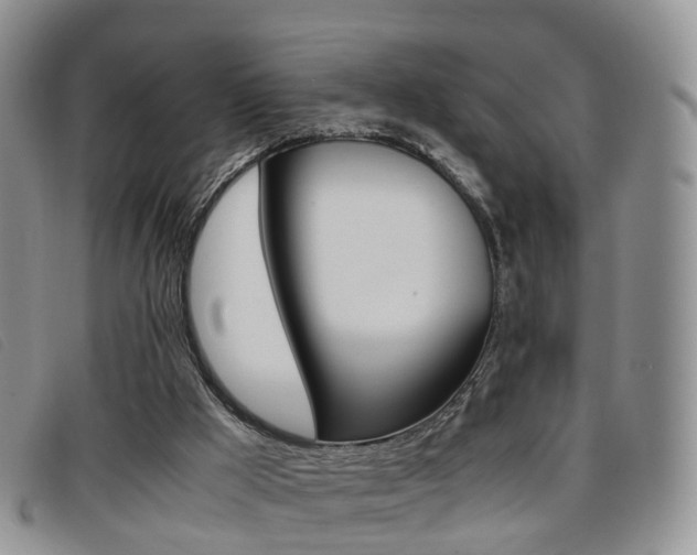 X0000096730009200802051139