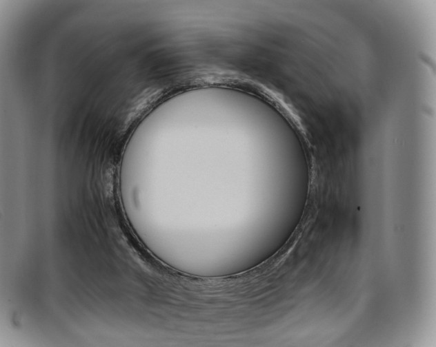 X0000096730010200802051139