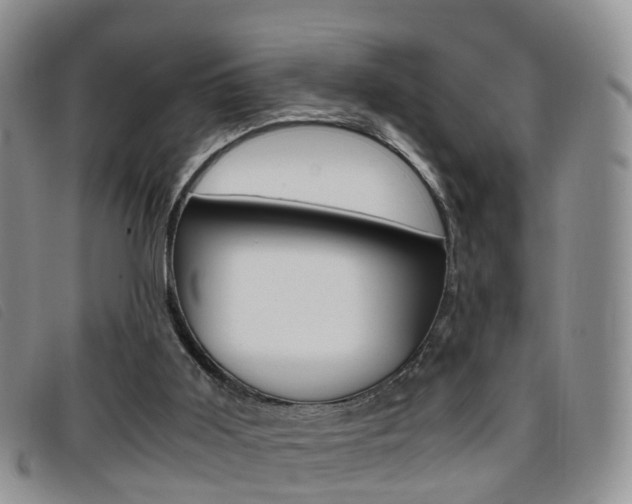 X0000096730011200802051139