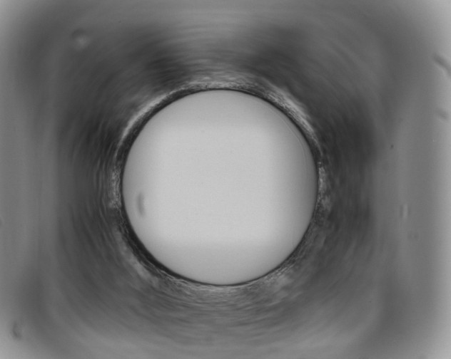 X0000096730012200802051139