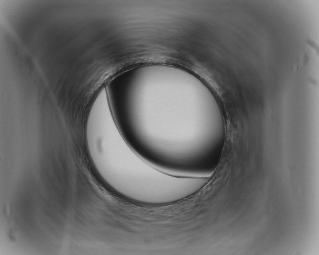 X0000096730013200802051139