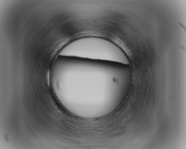 X0000096730014200802051139