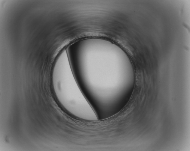 X0000096730015200802051139