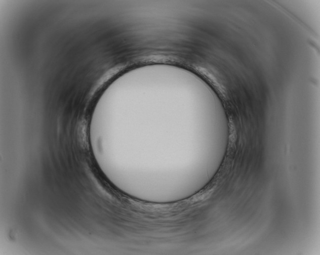 X0000096730016200802051139
