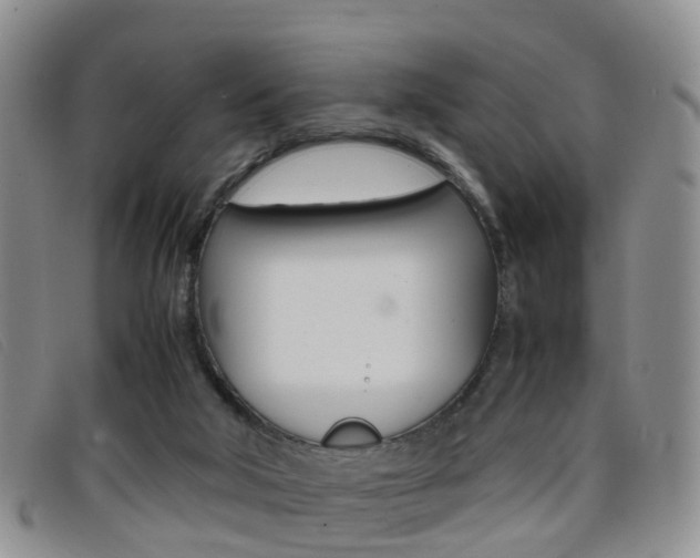 X0000096730018200802051139
