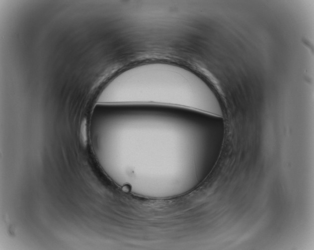 X0000096730020200802051139