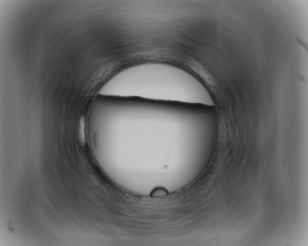 X0000096730022200802051139