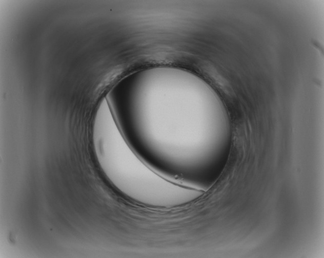X0000096730023200802051139