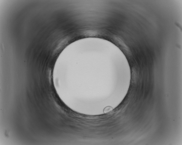 X0000096730024200802051139
