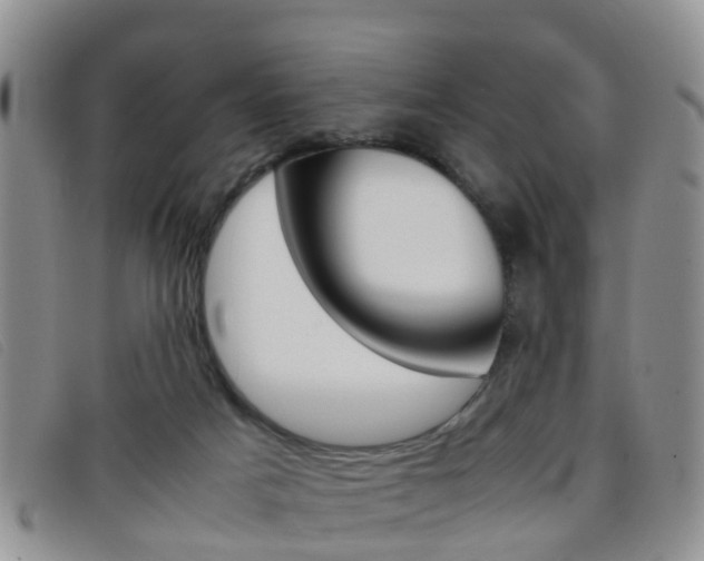 X0000096730025200802051139