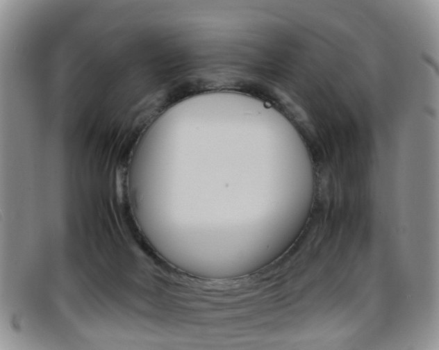 X0000096730026200802051139