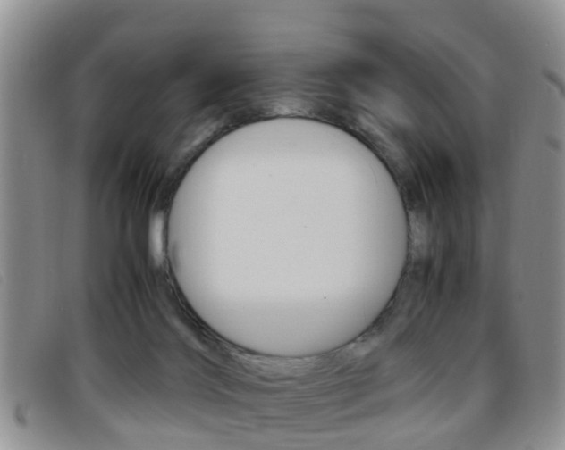 X0000096730028200802051139